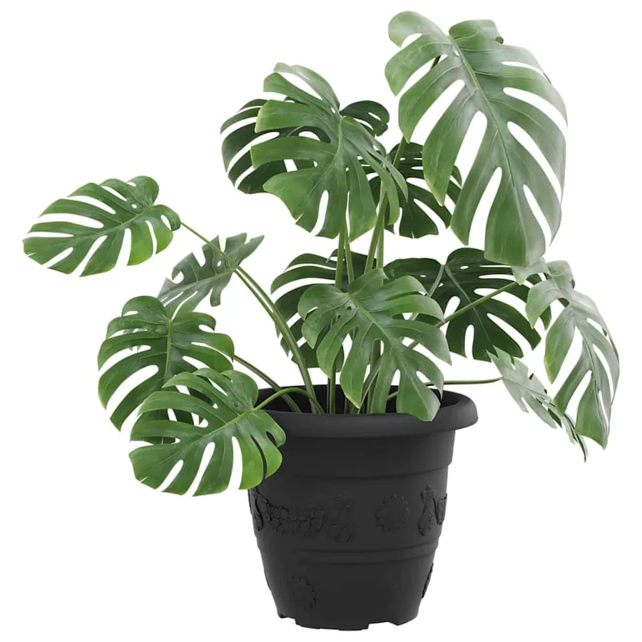 Pot à fleurs rond 24 pcs Noir Ø 22 x 18 cm Plastique - 3