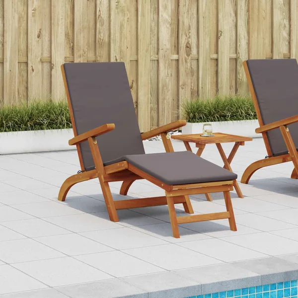 Chaise longue inclinable et pliable 55 x 146 x 91 cm