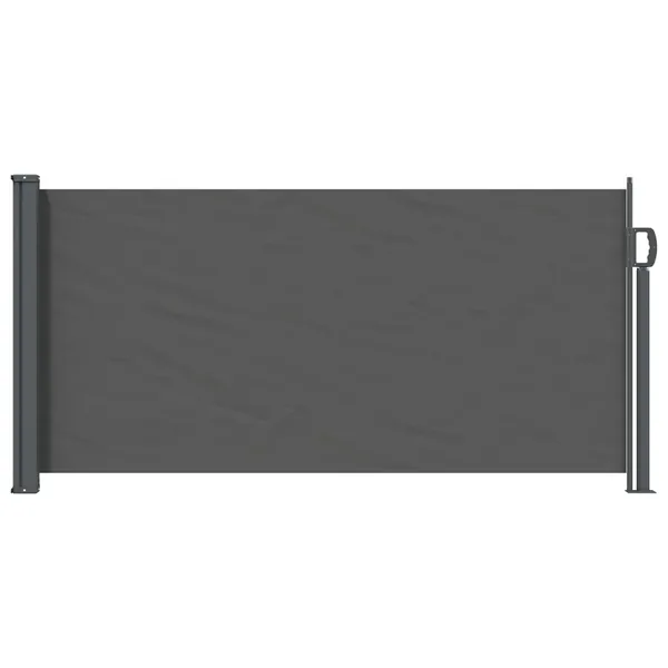 Store latéral rétractable Anthracite 300 x 100 cm Polyester