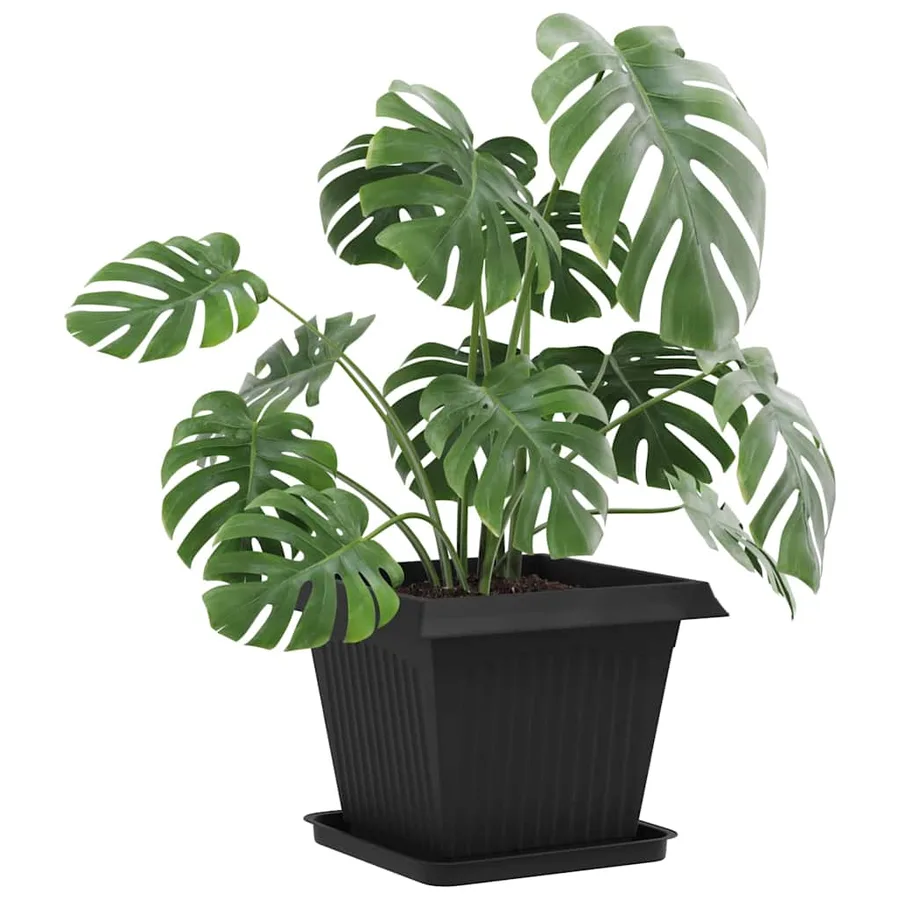 Plateau carré à fleurs 6 pcs Noir 36 x 36 x 2.5 cm Plastique - 3