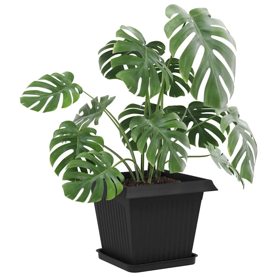 Plateau carré à fleurs 6 pcs Noir 25,5 x 25,5 x 2,5 cm - 3