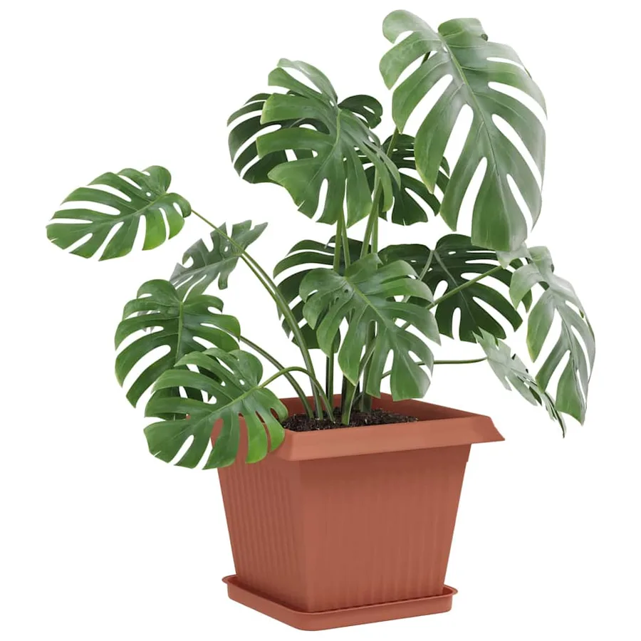 Pots de plantes 6 pcs Rouge brique 33 x 33 x 26 cm Plastique - 3
