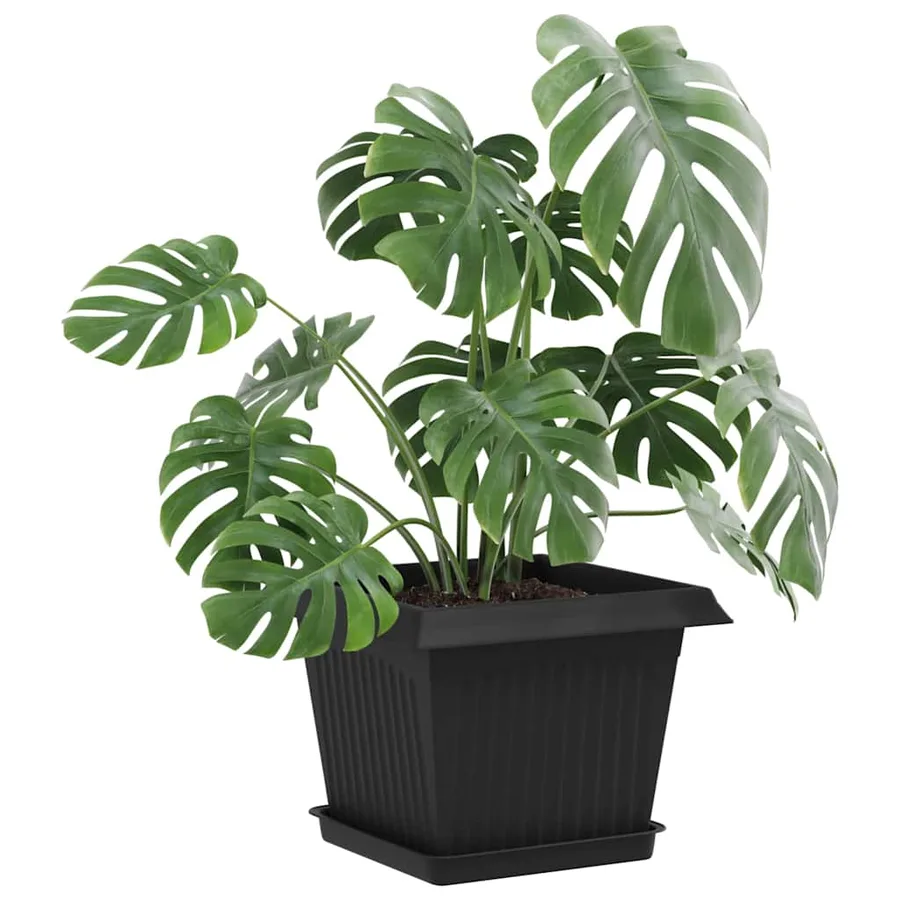 Pots de plantes 24 pcs Noir 23 x 23 x 17,5 cm Plastique - 3