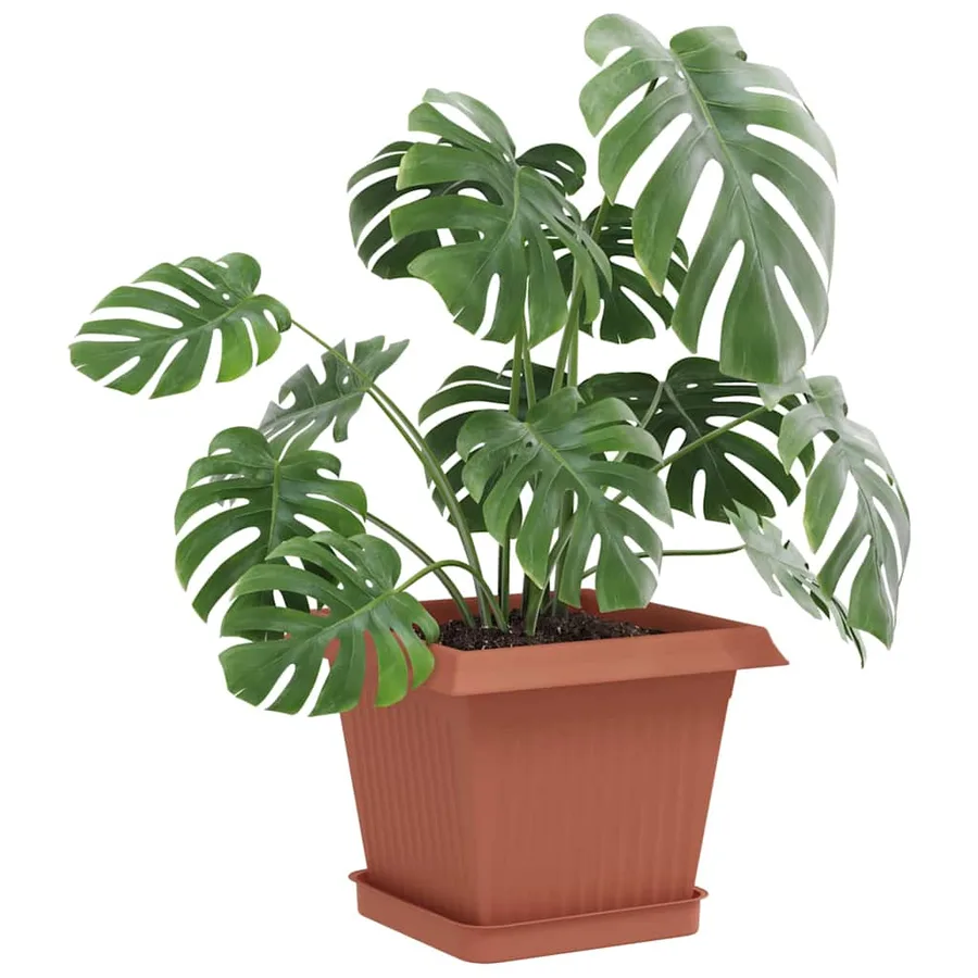 Pots de plantes 24 pcs Rouge brique 20 x 20 x 16 cm Plastique - 3