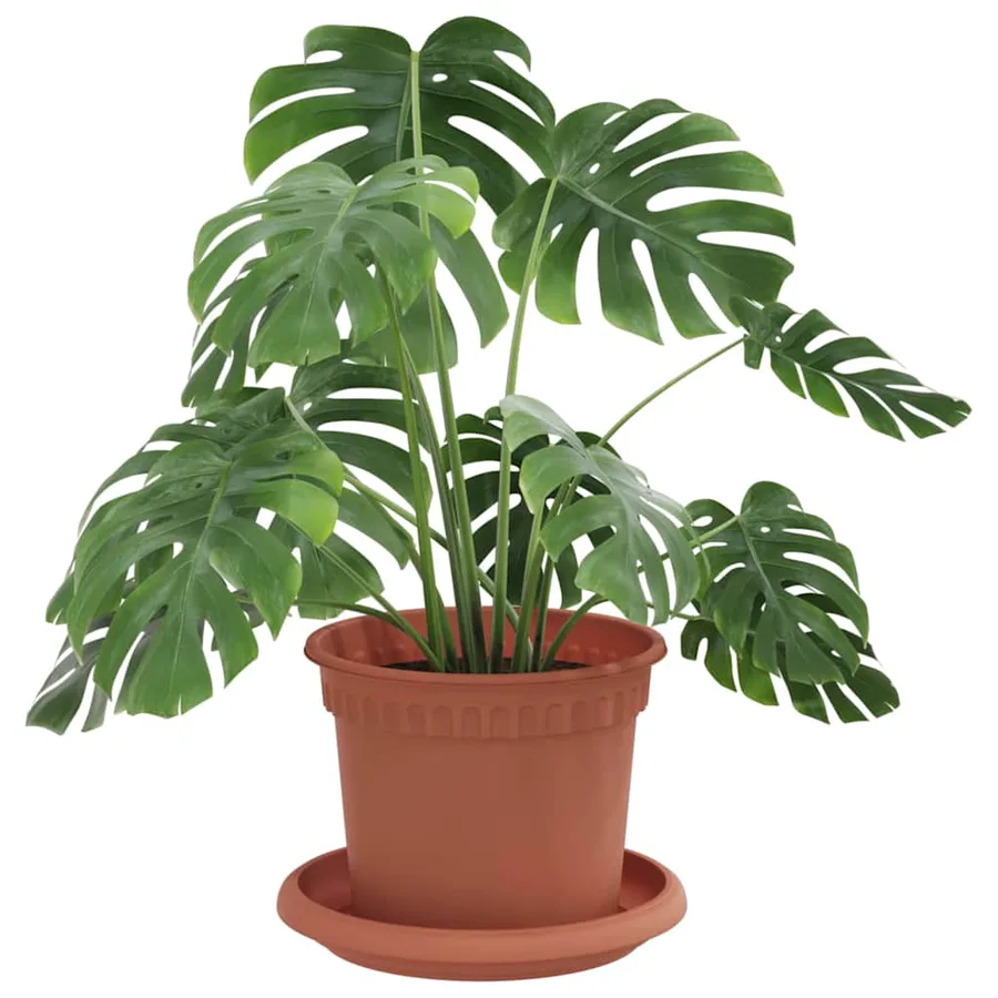 Pots de plantes 6 pcs Rouge brique Ø 12,5 x 10 cm Plastique - 3