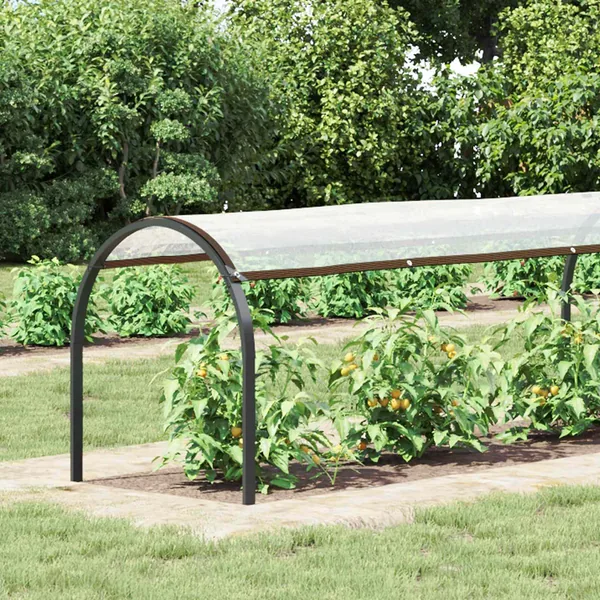 Couverture pour plantes Transparent 2 x 1,5 m PE