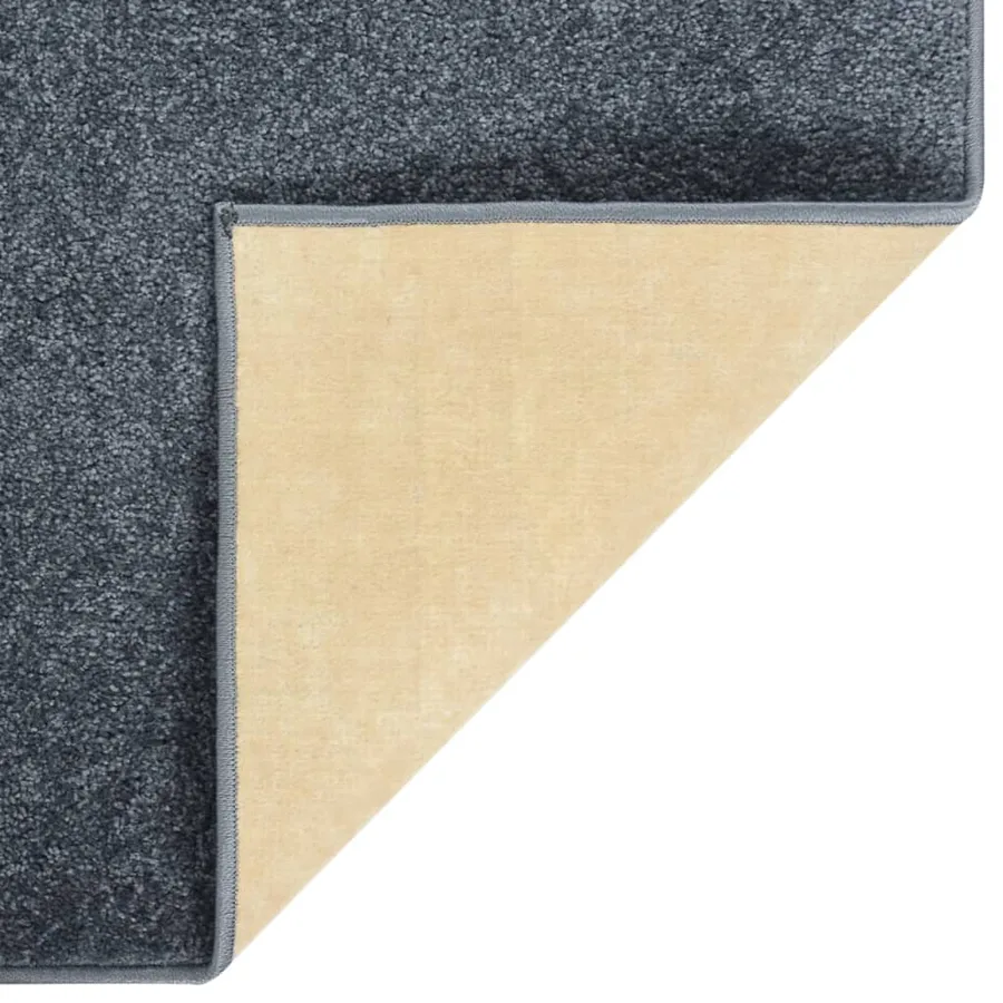 Tapis à poils courts 160x230 cm Anthracite - 6