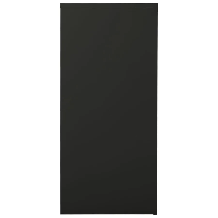 Armoire à portes coulissantes avec jardinière Anthracite Acier - 13