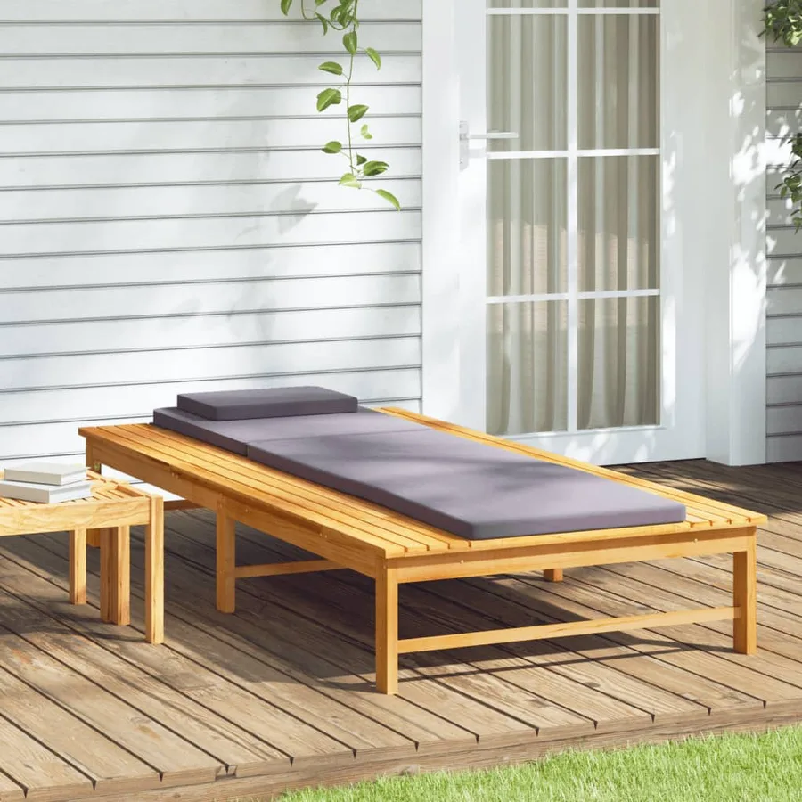 Chaise longue et coussin/oreiller gris foncé bois massif acacia - 3
