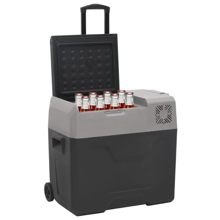 Glacière avec roue et adaptateur noir et gris 30L polypropylène - 2