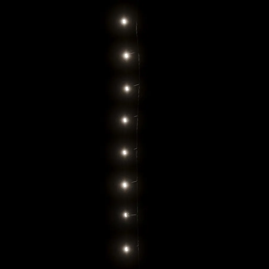 Guirlande LED avec 300 LED Blanc froid 30 m PVC - 5