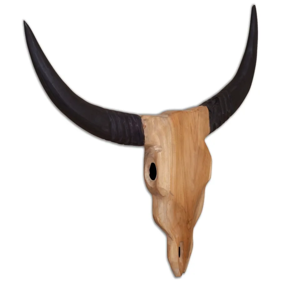 Crâne de taureau mural Teck 69x6x60 cm - 5