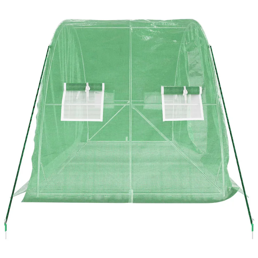Serre avec cadre en acier vert 10 m² 5x2x2,3 m - 5