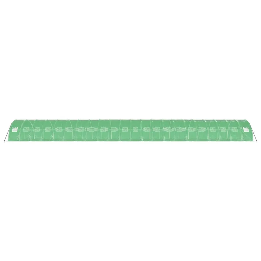 Serre avec cadre en acier vert 88 m² 22x4x2 m - 5