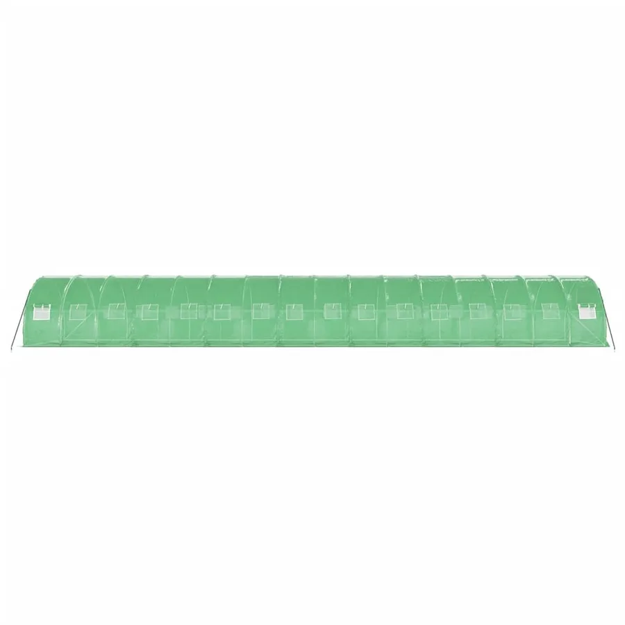 Serre avec cadre en acier vert 48 m² 16x3x2 m - 5
