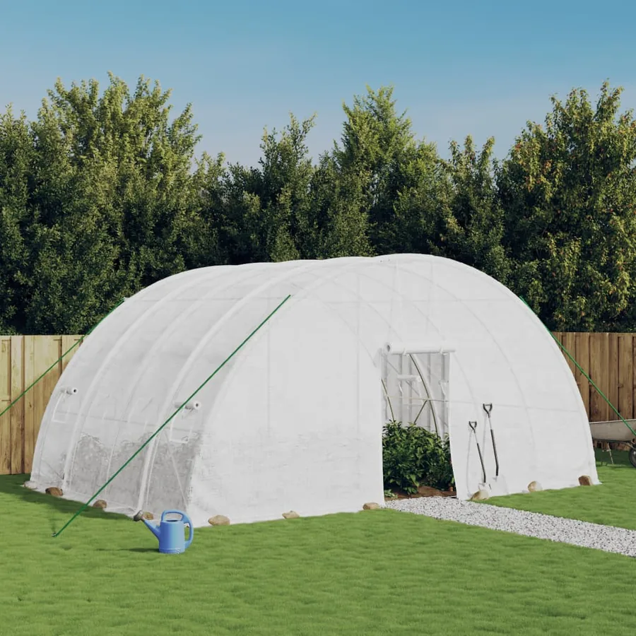 Serre avec cadre en acier Blanc 24 m² 6x4x2,85 m