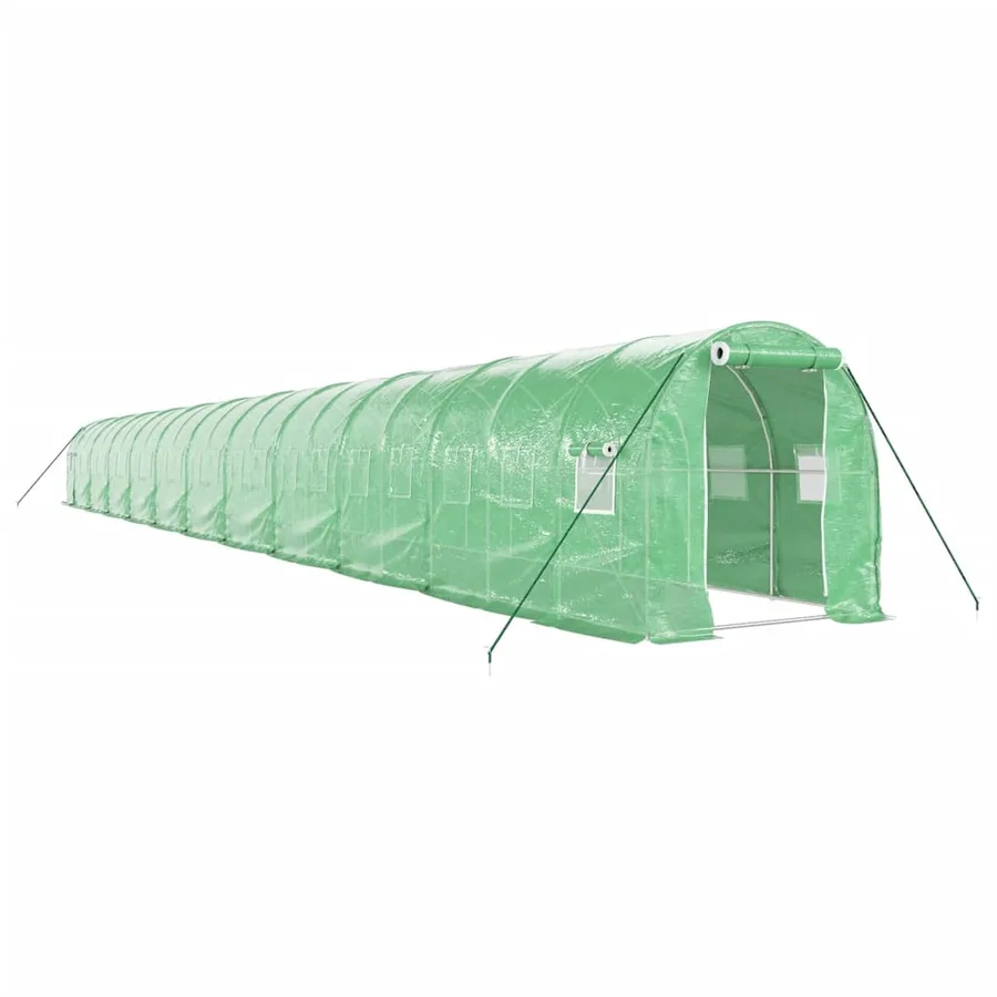 Serre avec cadre en acier vert 44 m² 22x2x2 m - 2