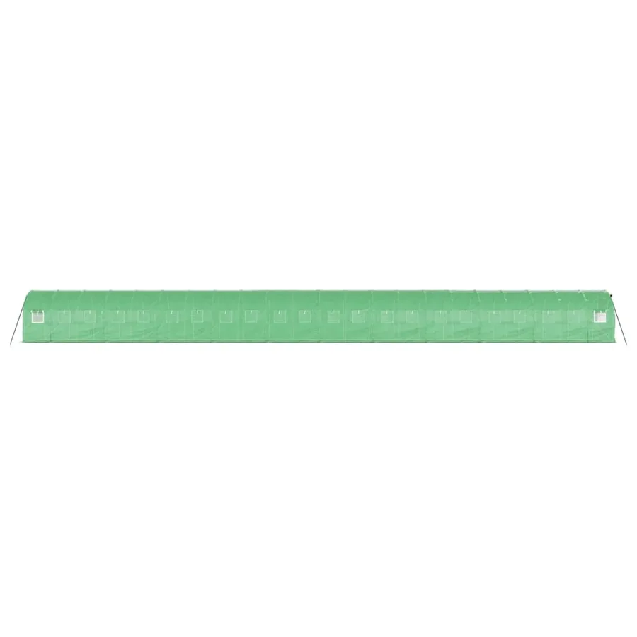 Serre avec cadre en acier vert 44 m² 22x2x2 m - 5