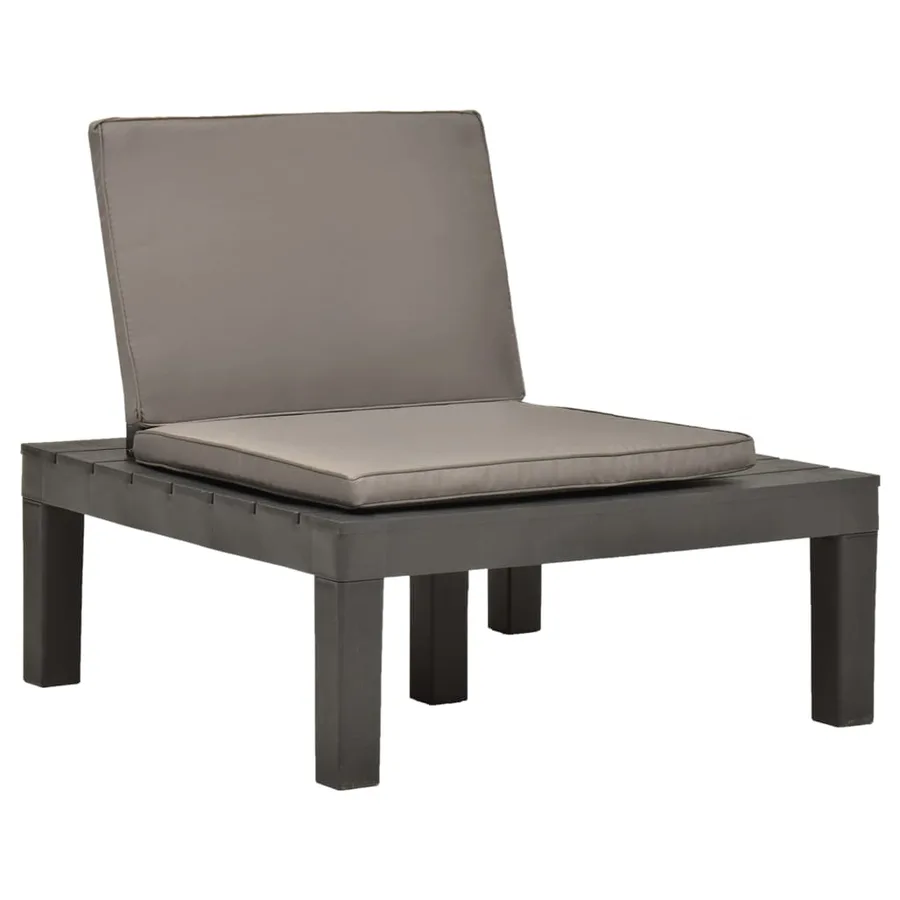 Chaises de salon de jardin et coussins 2pc Plastique Anthracite - 2