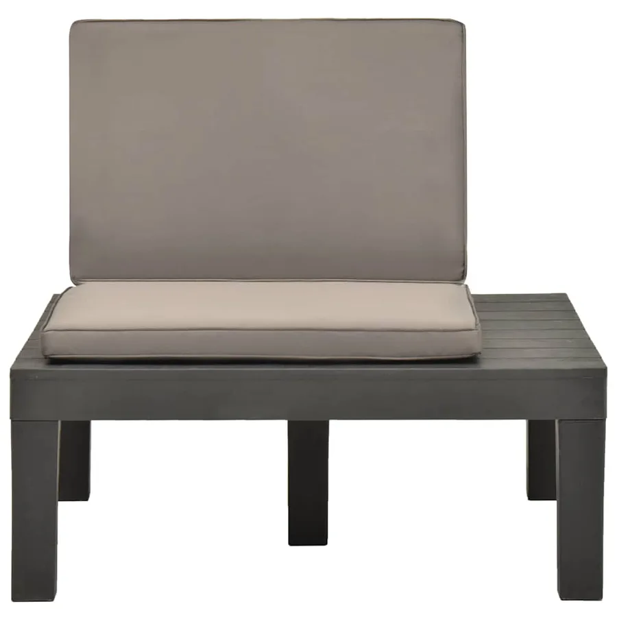 Chaises de salon de jardin et coussins 2pc Plastique Anthracite - 3