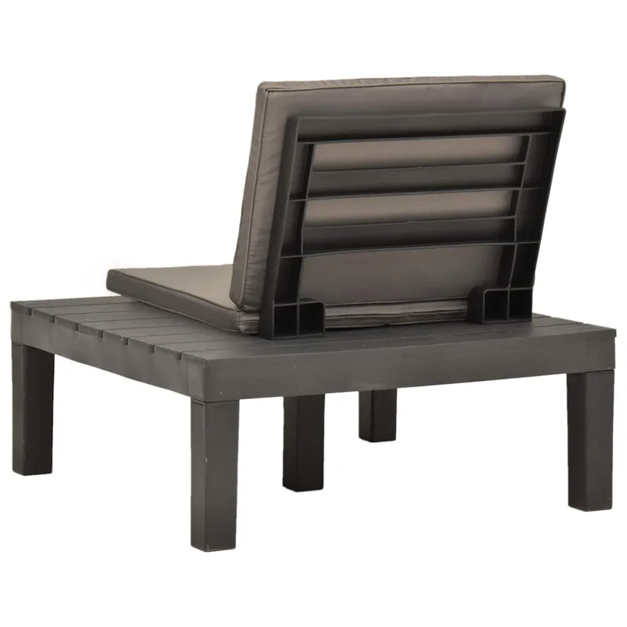 Chaises de salon de jardin et coussins 2pc Plastique Anthracite - 5