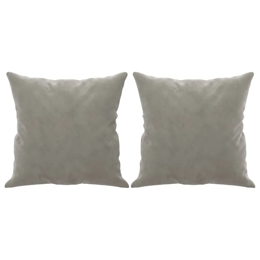 Coussins décoratifs lot de 2 Gris clair 40x40 cm Velours - 2