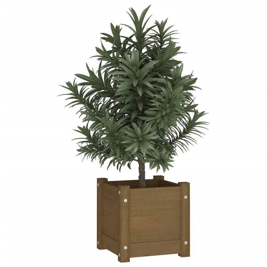 Jardinière extérieur Marron miel 31x31x31 cm Bois de pin massif - 3