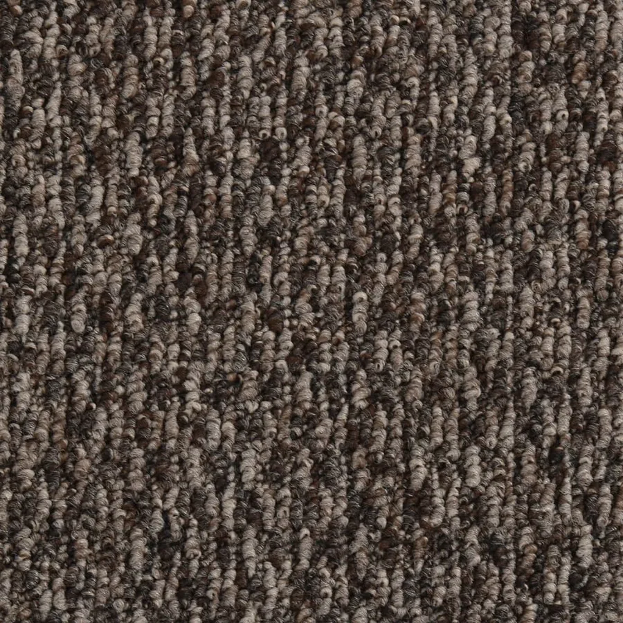 Paillasson Beige 40x60 cm - 5