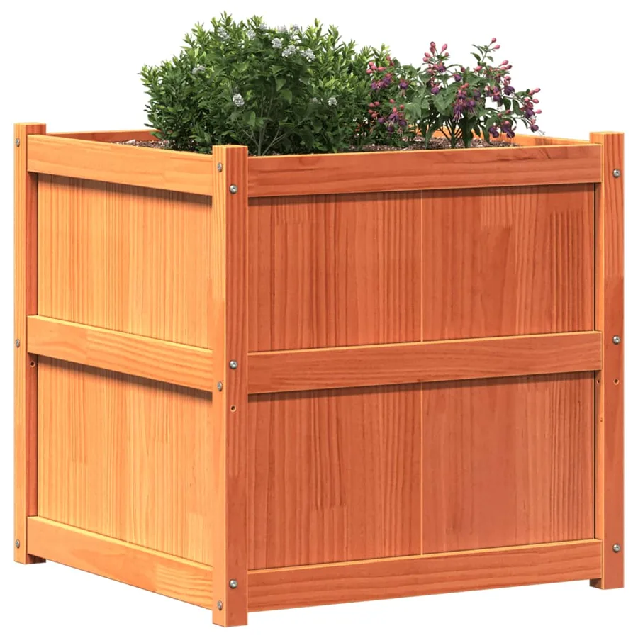 Jardinière cire marron 70x70x70 cm bois de pin massif - 4