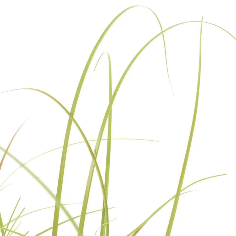 Plante artificielle à herbe 95 cm - 2