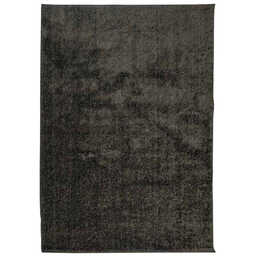 Tapis ISTAN à poils longs aspect brillant anthracite 120x170 cm - 2