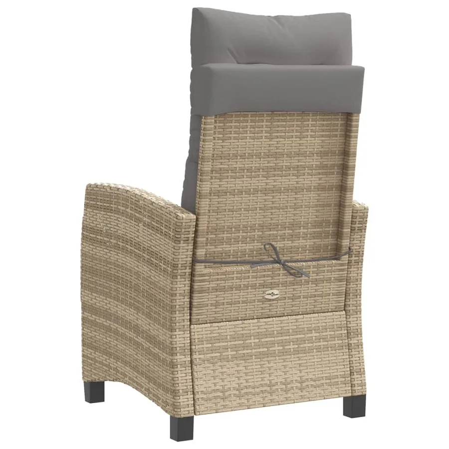 Chaise inclinable de jardin et repose-pied gris résine tressée - 30