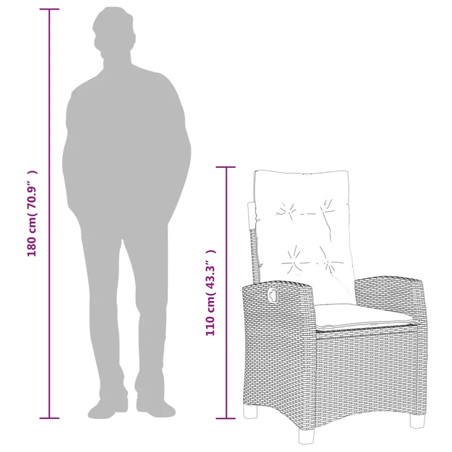 Chaise inclinable de jardin et repose-pied gris résine tressée - 35