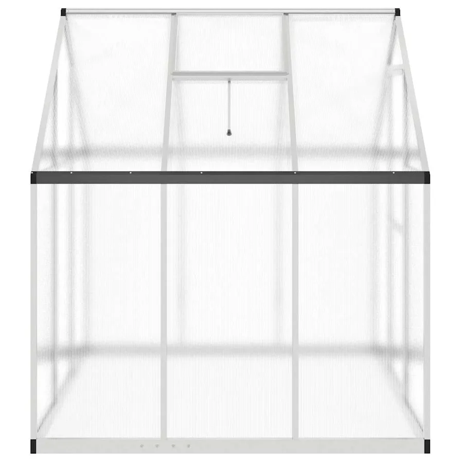 Serre avec cadre de base argent 169x169x195 cm aluminium - 4