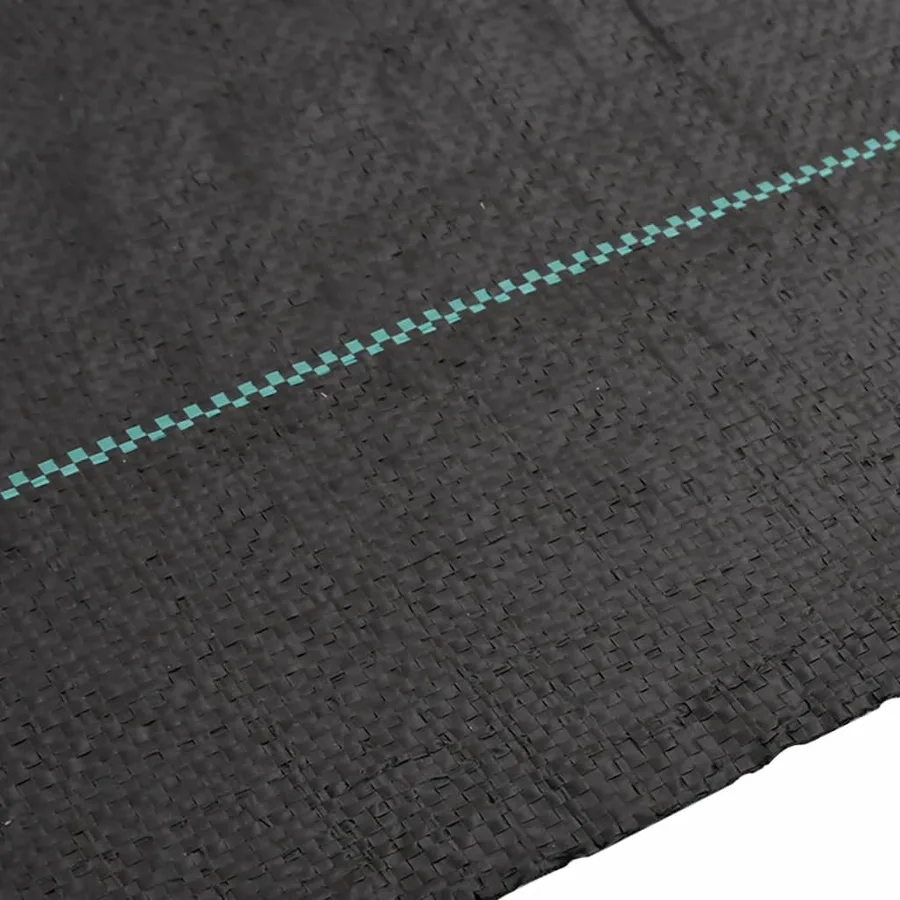 Membrane anti-mauvaises herbes noir 1x10 m PP - 4