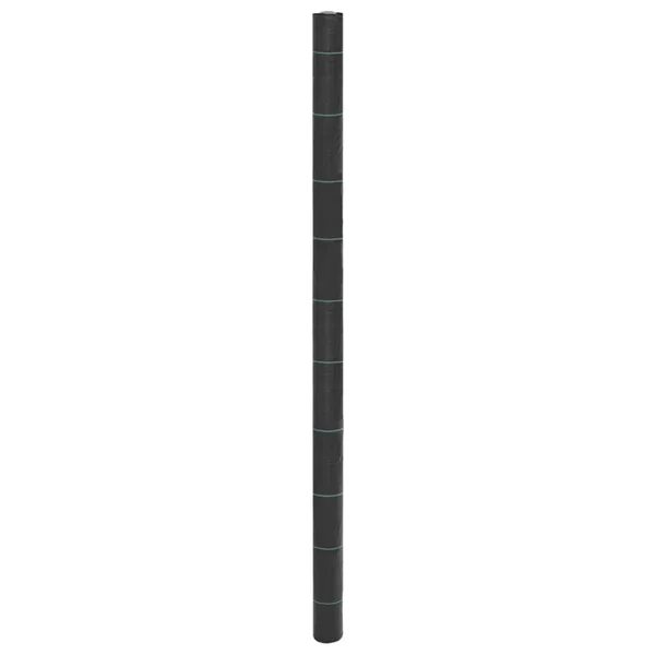 Membrane anti-mauvaises herbes noir 2x10 m PP