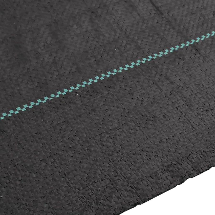 Membrane anti-mauvaises herbes noir 2x10 m PP - 4
