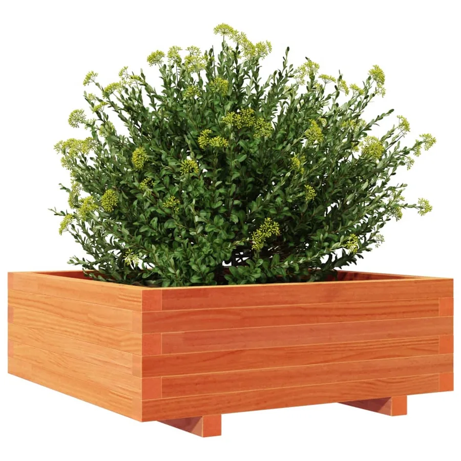 Jardinière cire marron 70x70x26,5 cm bois de pin massif - 4