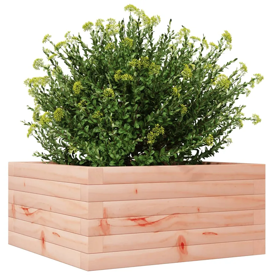 Jardinière 50x50x23 cm bois massif douglas - 4