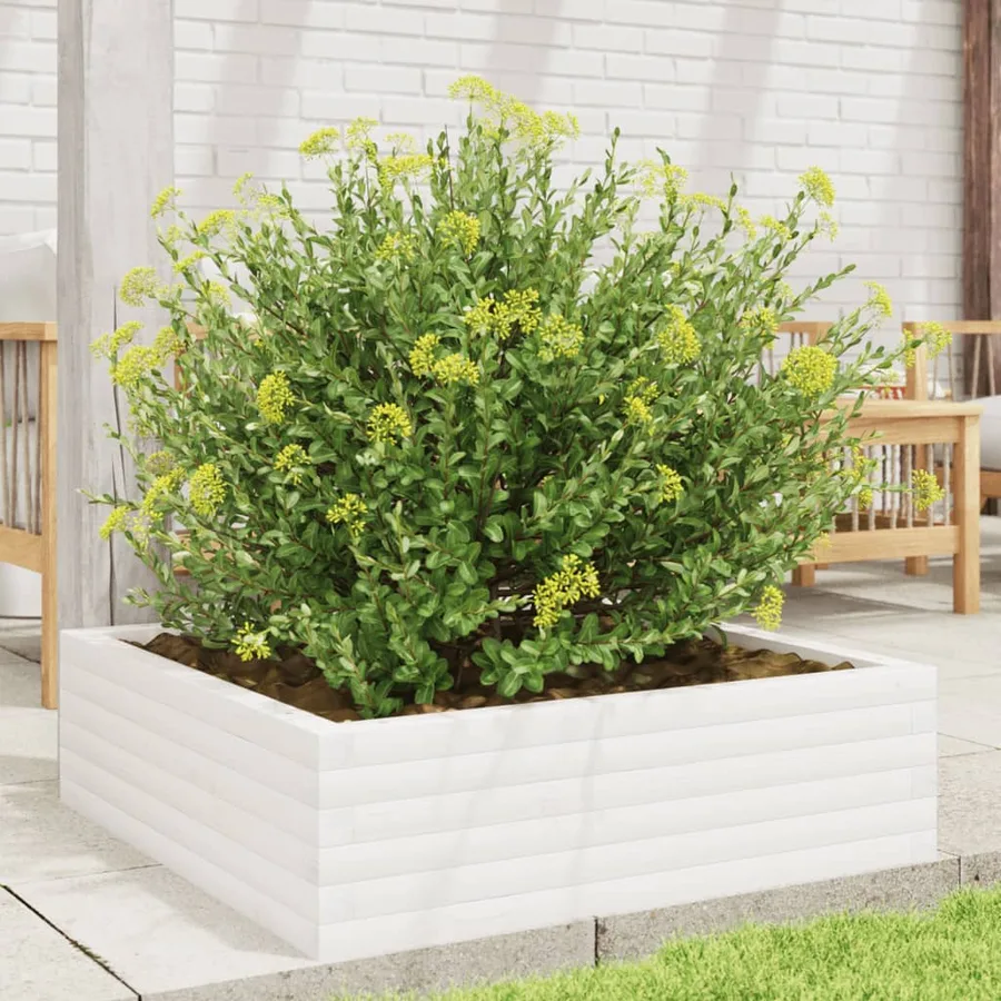Jardinière blanc 80x80x23 cm bois de pin massif - 3