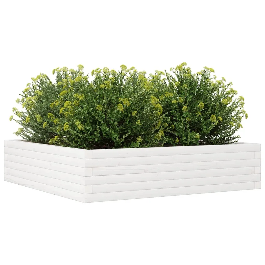 Jardinière blanc 100x100x23 cm bois de pin massif - 4