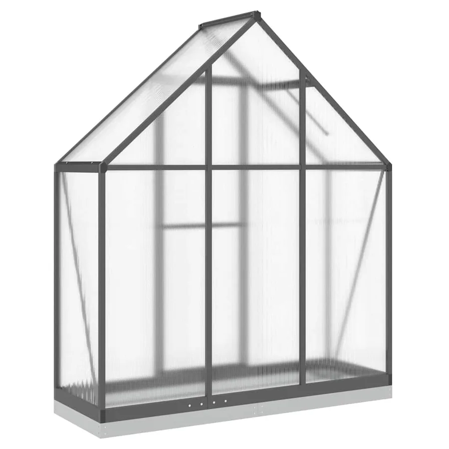 Serre avec cadre de base anthracite 169x58x202 cm aluminium - 5