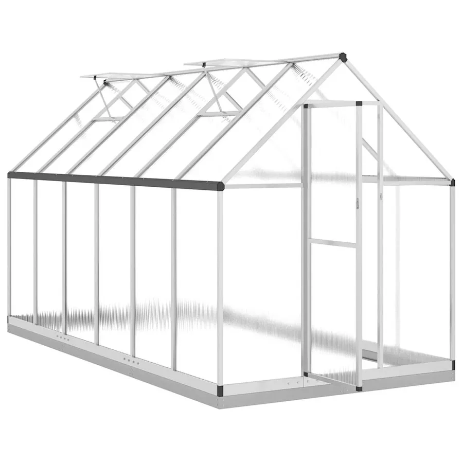 Serre avec cadre de base argenté 334x169x202 cm aluminium - 6