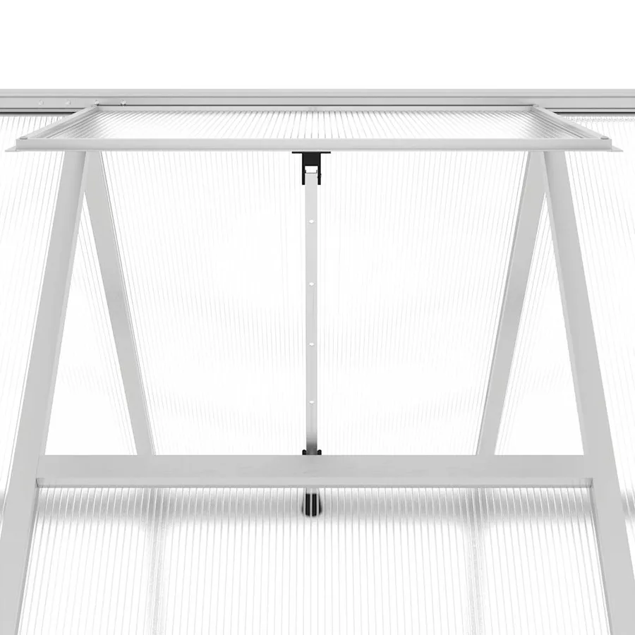 Serre avec cadre de base argenté 334x169x202 cm aluminium - 9