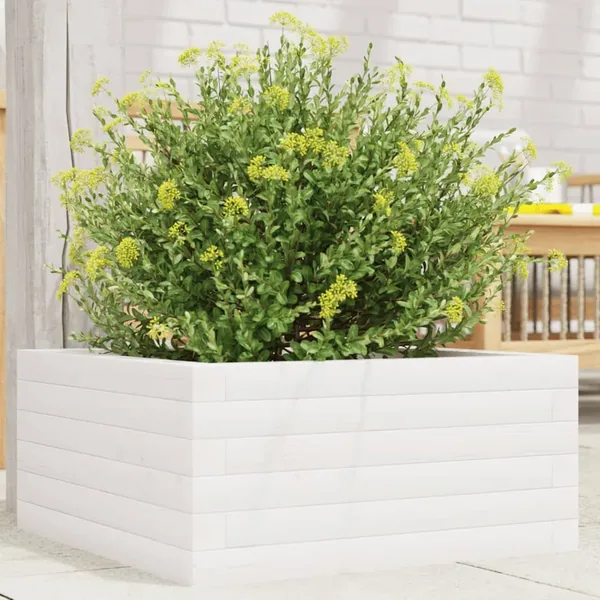 Jardinière blanc 50x50x23 cm bois de pin massif