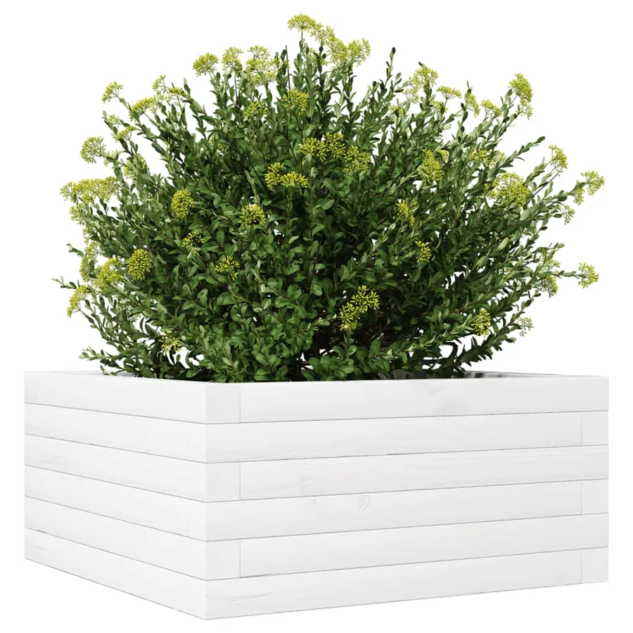 Jardinière blanc 50x50x23 cm bois de pin massif - 4