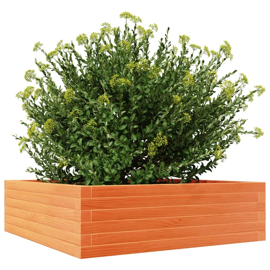 Jardinière cire marron 80x80x23 cm bois de pin massif - 4