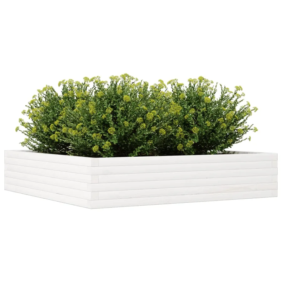 Jardinière blanc 110x110x23 cm bois de pin massif - 4
