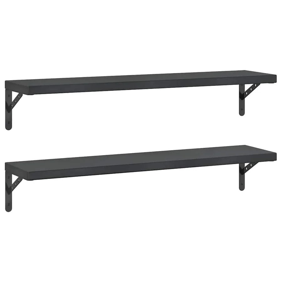 Étagères murales 2 pcs 100x23,5 cm noir acier inoxydable - 2