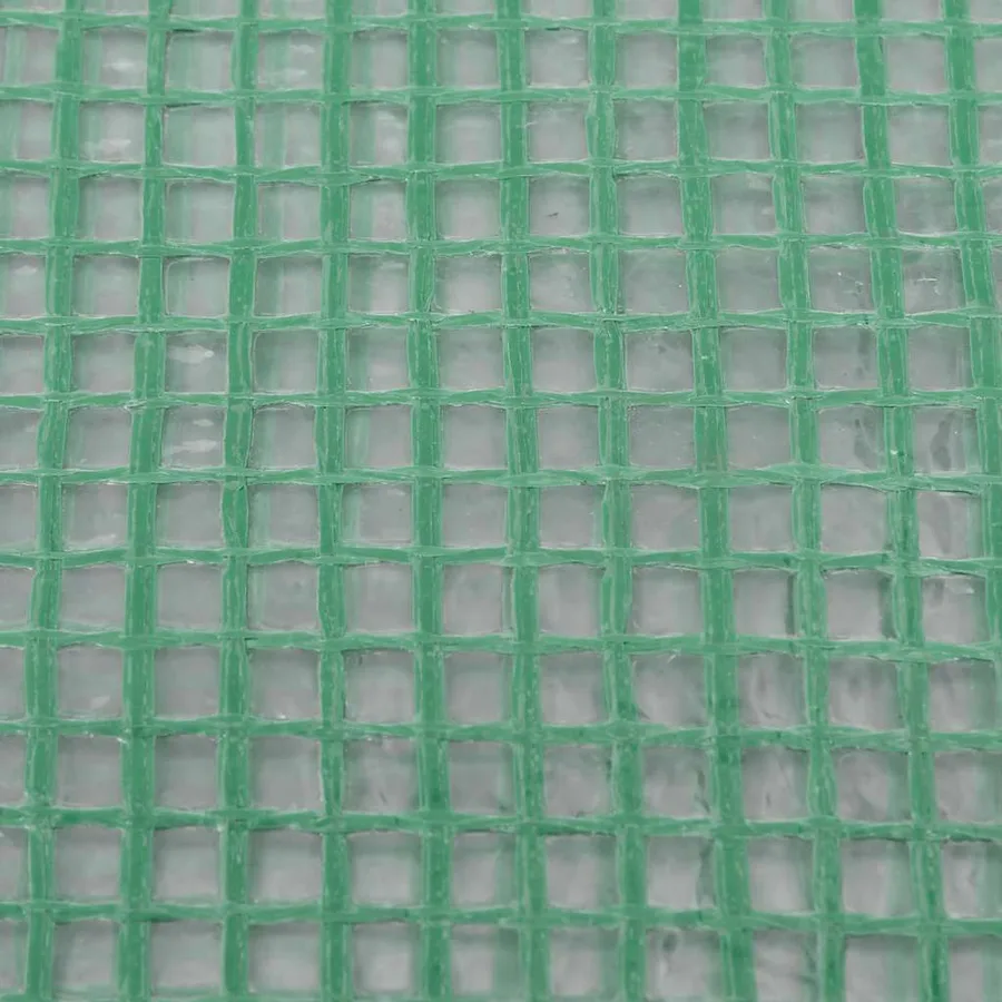 Couverture de remplacement de serre (0,5 m²) 50x100x190 cm Vert - 4